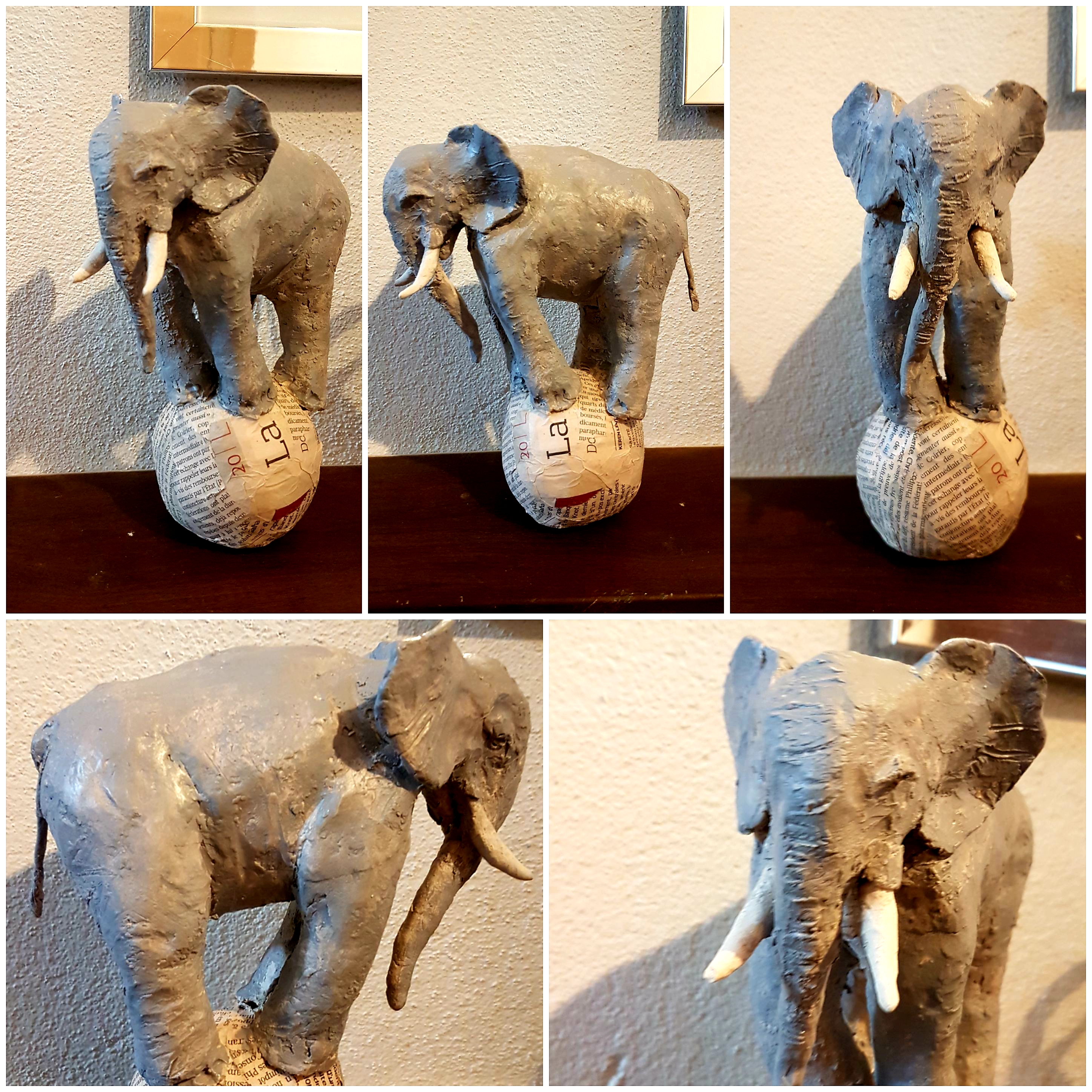 Éléphant sur sa boule de news Éléphant sur sa boule de news