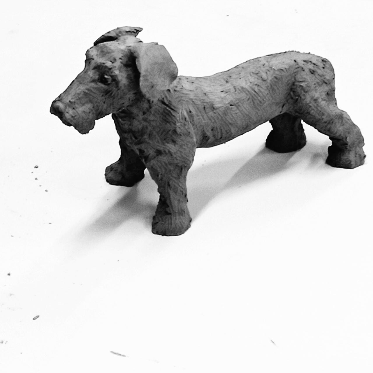 Chien 25 x 15 Chien 25 x 15